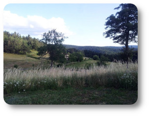 paysage